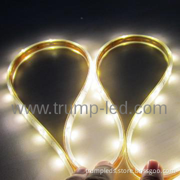 2013 NEW product  waterproof 12v /24v led light flex strip